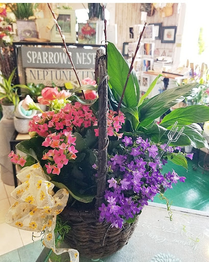 Florist «Sparrows Nest Flower Shop LLC», reviews and photos, 65 Sylvania Ave, Neptune City, NJ 07753, USA