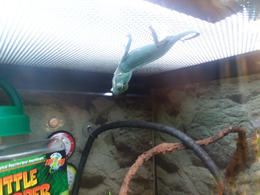 Pet Supply Store «Petco Animal Supplies», reviews and photos, 220 Maine Mall Rd, South Portland, ME 04106, USA