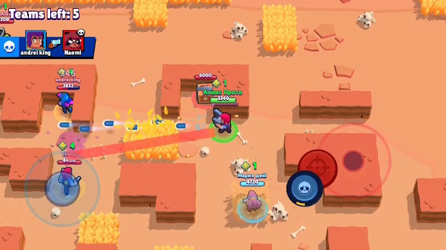 ДФСГ “Интелект”