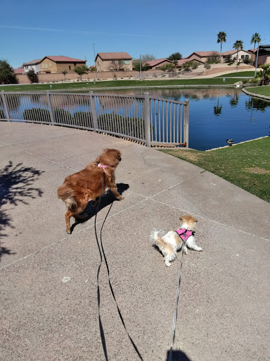 Park «Trailside Point Park», reviews and photos, 7215 W Vineyard Rd, Laveen Village, AZ 85339, USA