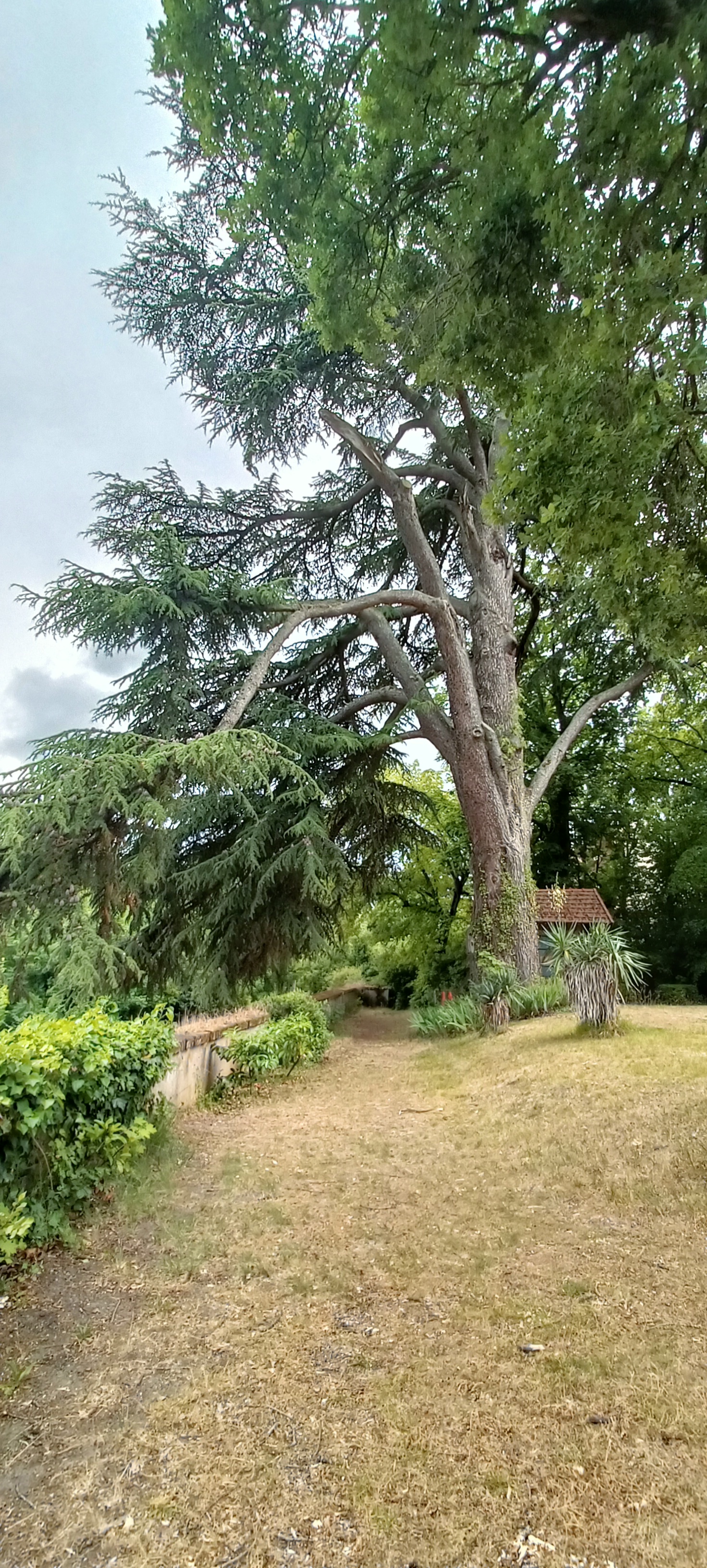 Photo n° 2 de l'avis de Bianca.o fait le 15/06/2023 à 19:33
