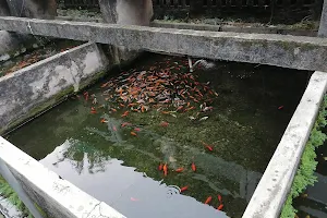 Manilka's Aquarium image