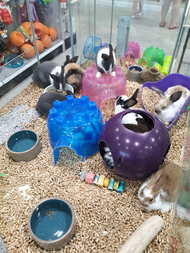 Pet Store «The Pet Store», reviews and photos, 1710 Lincoln Way E #18, Chambersburg, PA 17202, USA
