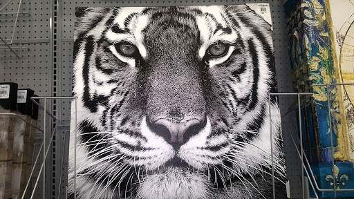 Pet Supply Store «PetSmart», reviews and photos, 26532 Towne Centre Dr, Foothill Ranch, CA 92610, USA