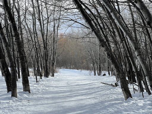 Grafs East Park, Bozeman, MT 59715