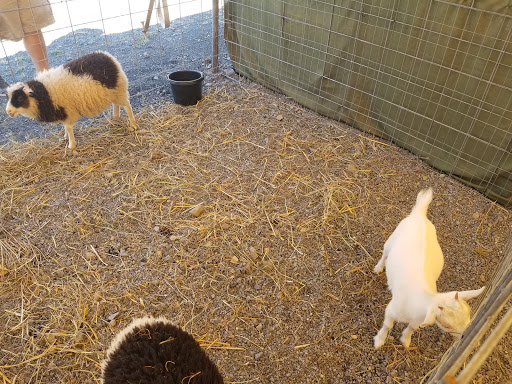 Ski Resort «Shawnee Mountain Ski Area», reviews and photos, 401 Hollow Rd, East Stroudsburg, PA 18301, USA