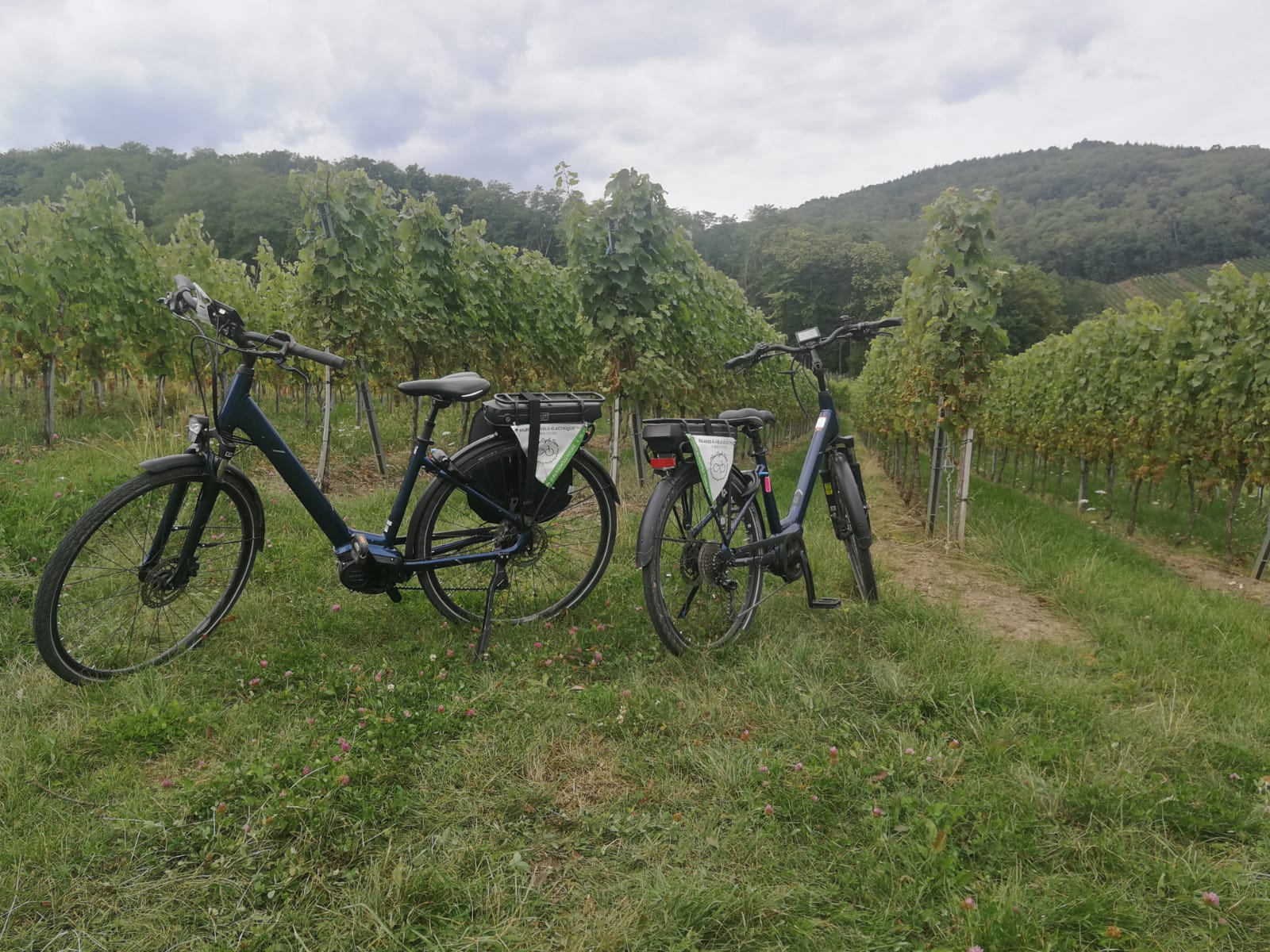 Photo n° 1 de l'avis de Sarah.o fait le 11/09/2019 à 17:16