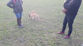 Canis Club Palois