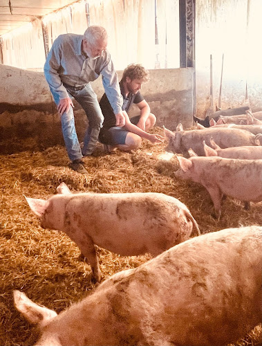 Plaisir Cochon, viande et charcuterie bio d'Auvergne à Saint-Pourçain-sur-Besbre