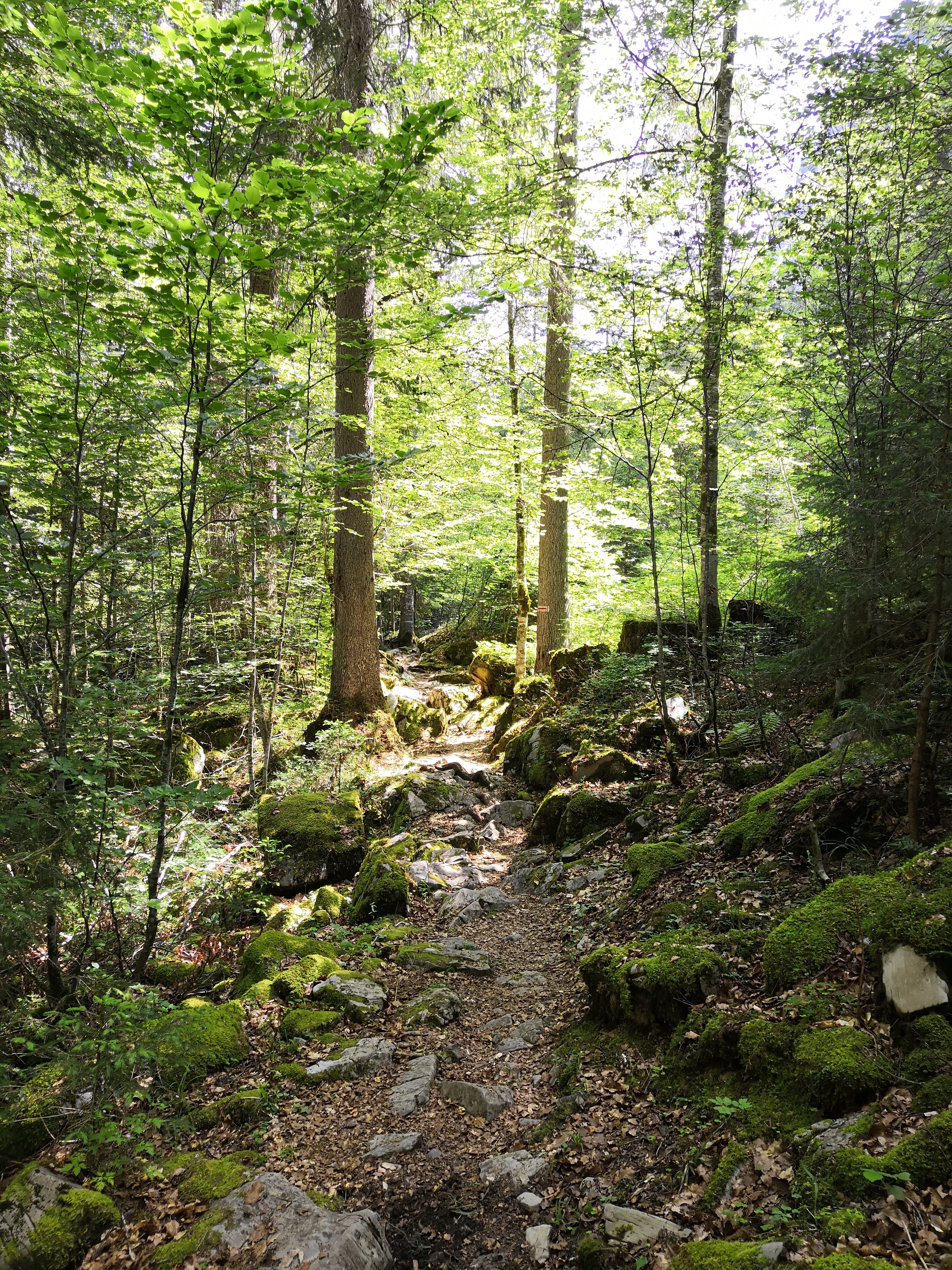 Photo n° 9 de l'avis de Régis.a fait le 21/08/2019 à 21:18