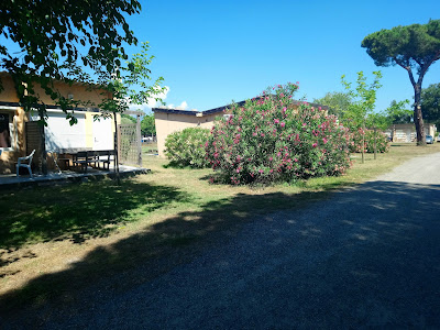 Village Center à Castellare-Di-Casinca