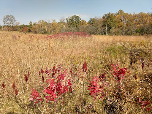 Nature Preserve «Hickory Creek Preserve», reviews and photos, Wolf Rd, Mokena, IL 60448, USA