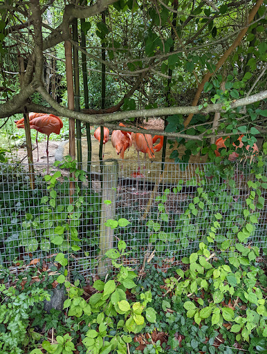 Zoo «Salisbury Zoological Park», reviews and photos, 755 S Park Dr, Salisbury, MD 21804, USA