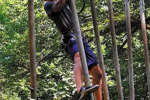 Adventure Park Monte Tamaro image