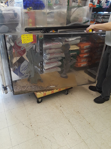 Pet Store «Anchor Bay Aquarium», reviews and photos, 36457 Alfred St, New Baltimore, MI 48047, USA