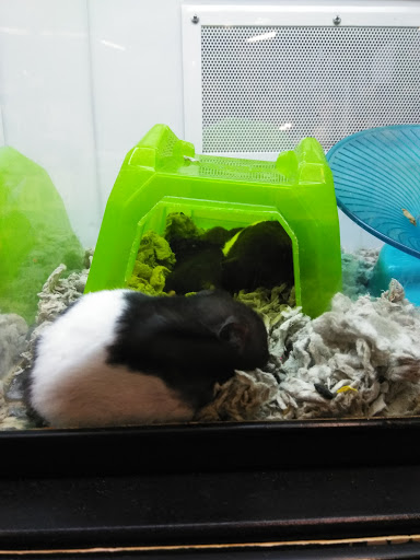 Pet Supply Store «Petco Animal Supplies», reviews and photos, 4491 Kirkwood Hwy, Wilmington, DE 19808, USA