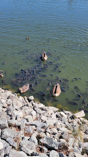 Amusement Park «Wild Waves Theme & Water Park», reviews and photos, 36201 Enchanted Pkwy S, Federal Way, WA 98003, USA