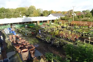 Premier Plants of Heswall image