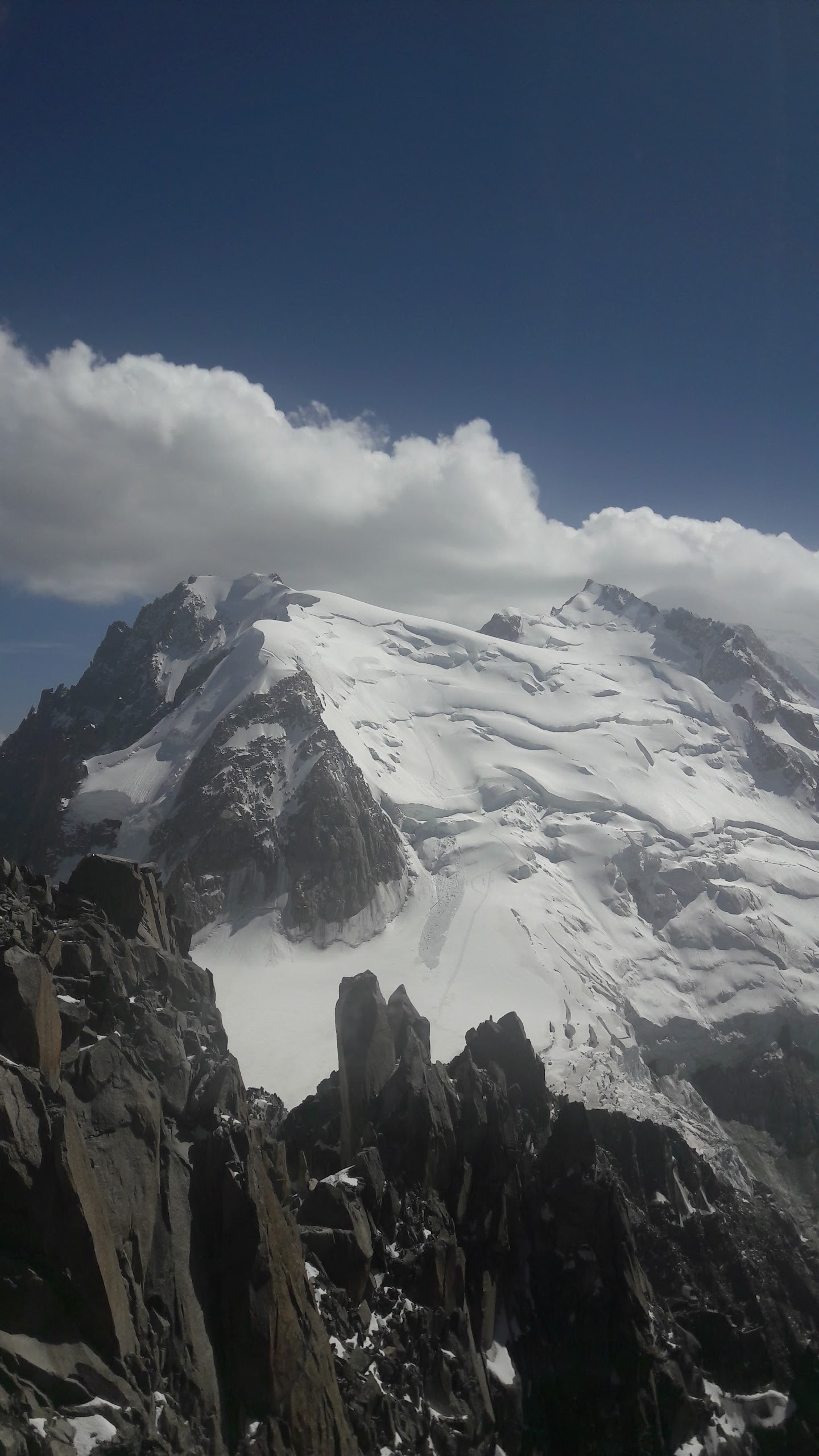 Photo n° 2 de l'avis de Meyer.o fait le 02/08/2017 à 14:03