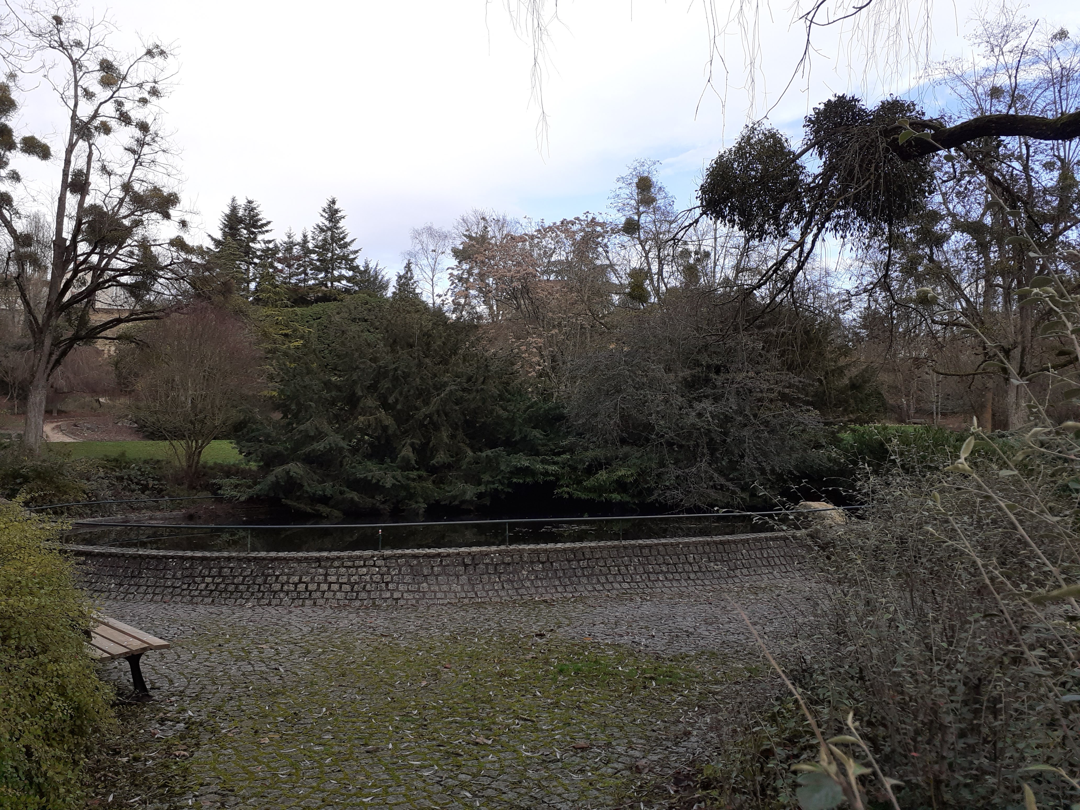 Photo n° 20 de l'avis de Christian.u fait le 19/12/2019 à 14:22