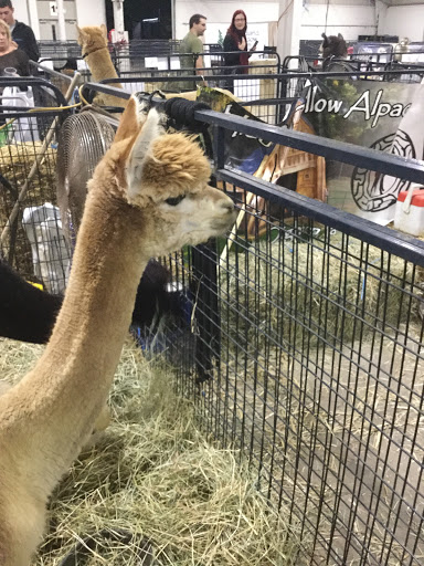 Shopping Mall «Brookside Plaza», reviews and photos, 10-38 Hazard Ave, Enfield, CT 06082, USA