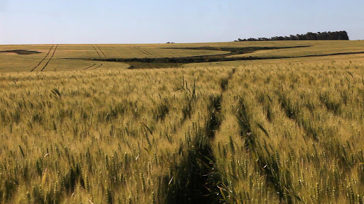 Farmland Uruguay