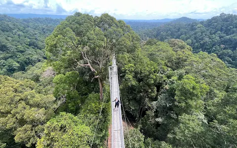 Ulu Temburong National Park image