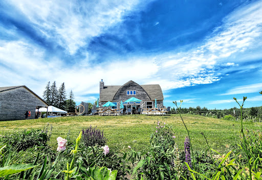 Winery «Walloon Lake Winery», reviews and photos, 3149 Intertown Rd, Petoskey, MI 49770, USA
