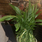 Photo n°1 de l'avis de A.l fait le 09/01/2024 à 19:40 sur le  Trattoria a muntagnola à Berlin