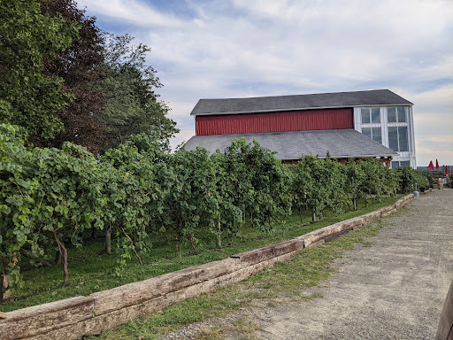 Winery «Arundel Cellars & Brewing Co», reviews and photos, 11727 E Main St, North East, PA 16428, USA