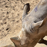 Photo n° 5 de l'avis de Laura.i fait le 28/08/2023 à 18:26 pour Zoo de La Palmyre à Les Mathes