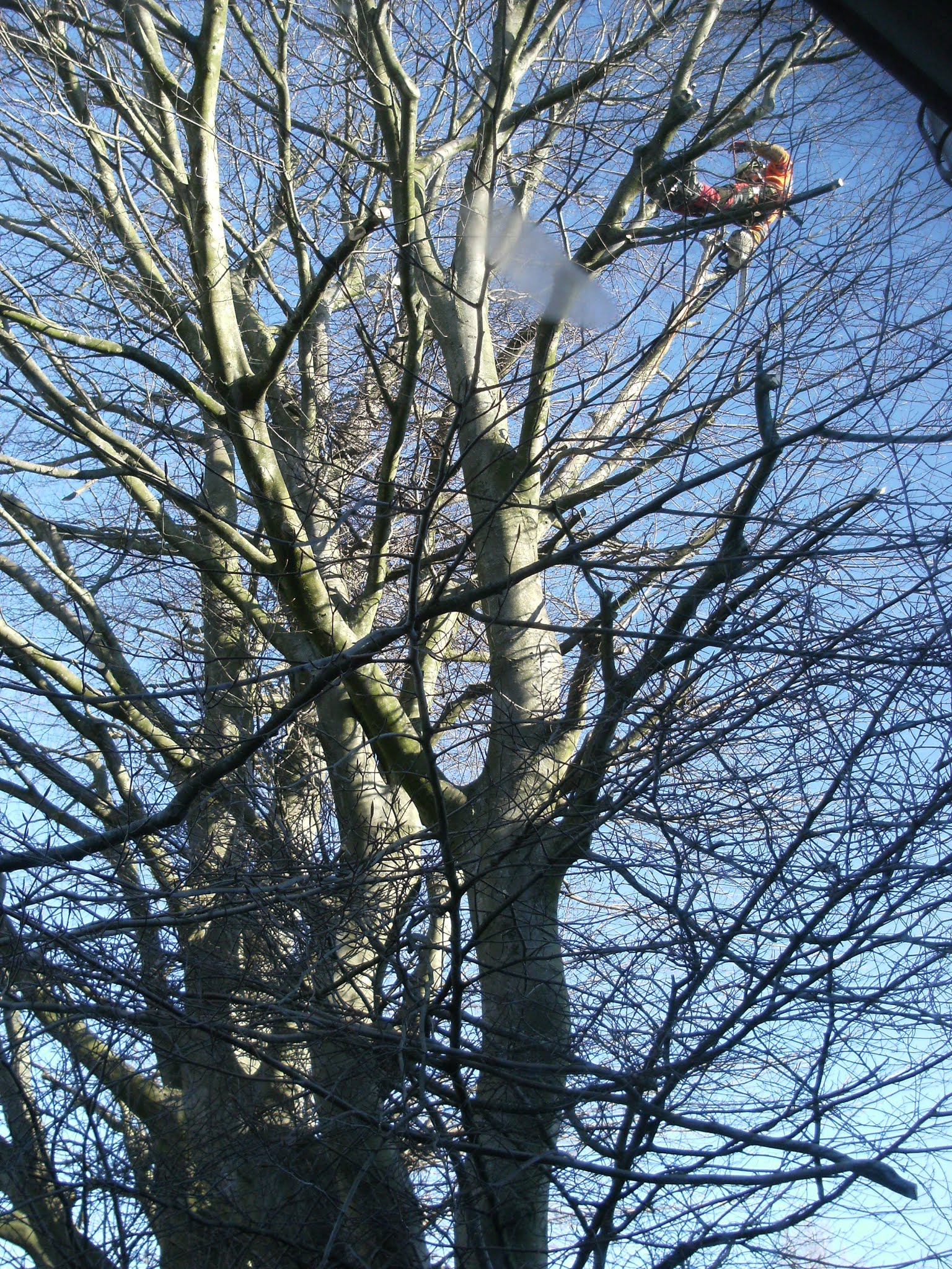 Photo n° 1 de l'avis de bertrand.o fait le 06/04/2020 à 12:39