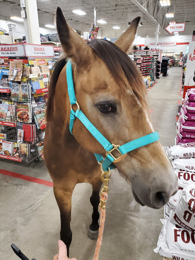 Home Improvement Store «Tractor Supply Co.», reviews and photos, 2280 Sanders Rd, Conway, AR 72032, USA
