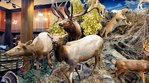 Outdoor Sports Store «Field & Stream», reviews and photos, 520 Clock Tower Way, Crescent Springs, KY 41017, USA