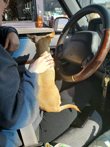 Coffee Shop «Starbucks», reviews and photos, 90 3300 S, South Salt Lake, UT 84115, USA