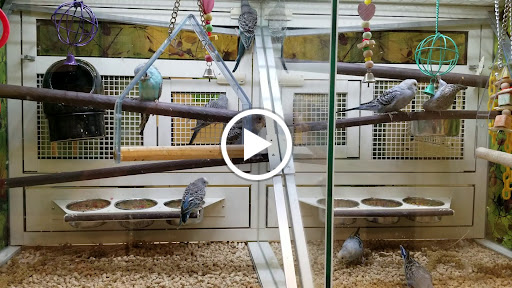 Pet Supply Store «PetSmart», reviews and photos, 1515 US-22, Watchung, NJ 07069, USA