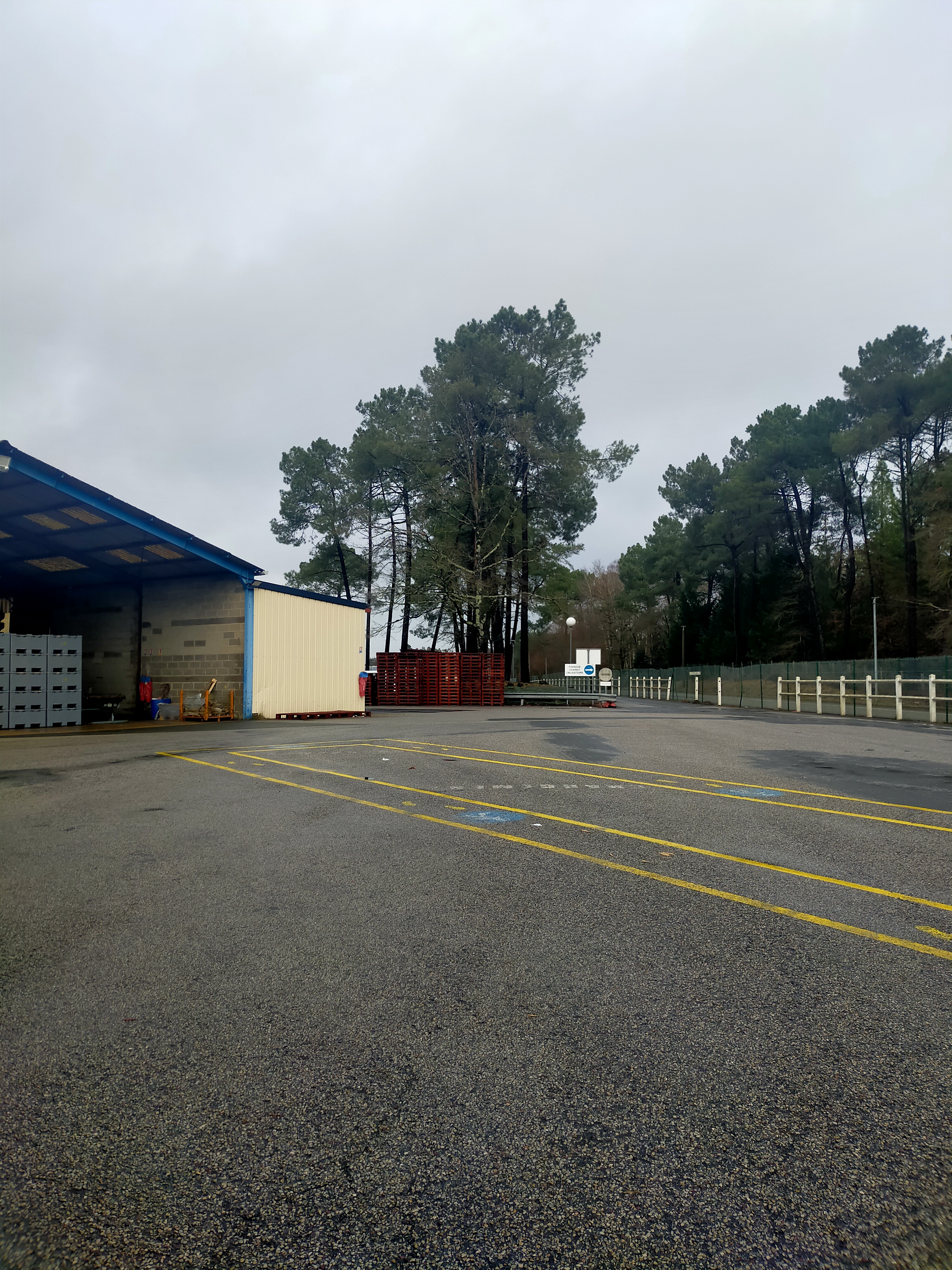 Photo n° 7 de l'avis de PIERRE-MARIE.E fait le 13/03/2023 à 18:30