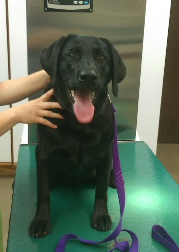 3630 Broadway, Boulder, CO 80304, USA