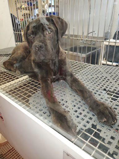 Pet Store «Pets Plus Inc», reviews and photos, 2610 Jefferson Davis Hwy, Stafford, VA 22554, USA