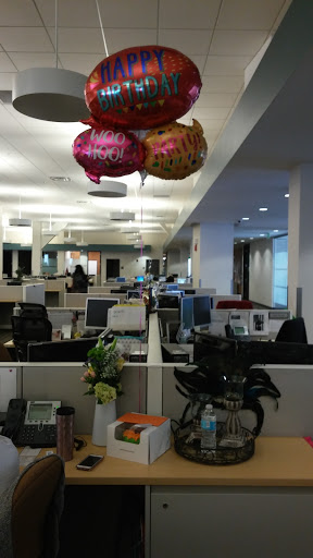 Supermarket «Publix Super Market», reviews and photos, 8701 W Hillsborough Ave, Tampa, FL 33615, USA