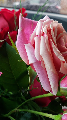 Florist «Yesterday Florists & Gifts», reviews and photos, 2548 Lapeer Rd #1, Auburn Hills, MI 48326, USA