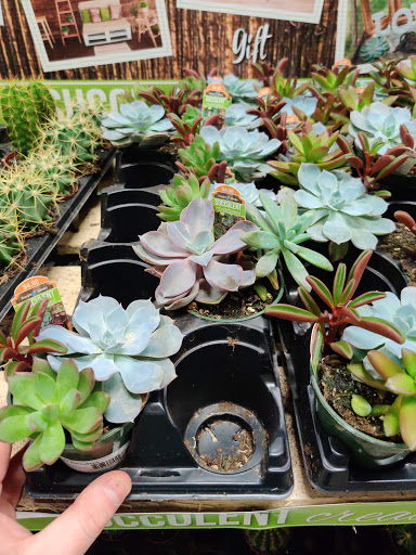 Home Improvement Store «The Home Depot», reviews and photos, 1330 N 21st St, Newark, OH 43055, USA