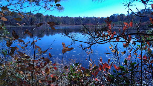 Nature Preserve «Black Run Preserve», reviews and photos, Kettle Run Rd, Evesham Township, NJ 08053, USA