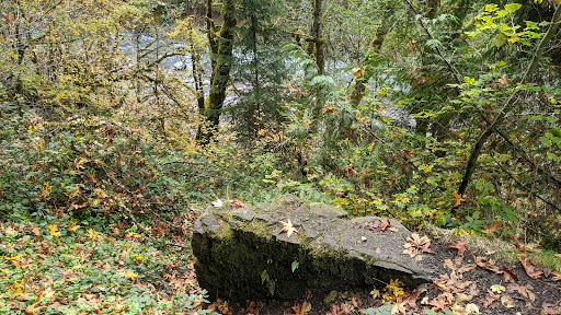 Tourist Attraction «Melmont ghost town», reviews and photos, Carbon River Rd, Carbonado, WA 98323, USA
