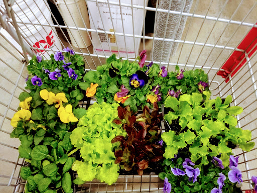 Hardware Store «Yeager Hardware», reviews and photos, 814 W Center St, Greenwood, AR 72936, USA