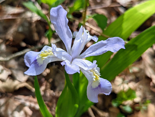 Park «Cave River Valley Park», reviews and photos, 6031-6871 N Cave River Valley Rd, Campbellsburg, IN 47108, USA
