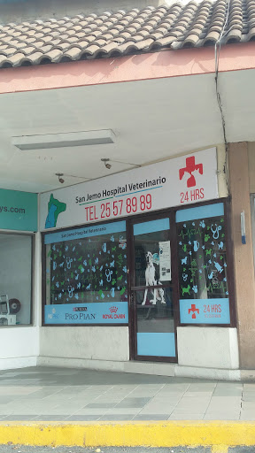 San Jemo Hospital Veterinario