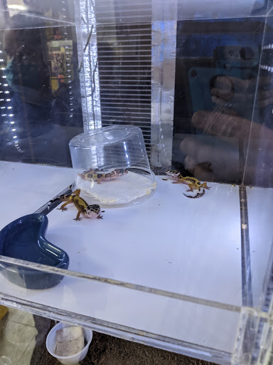 Pet Store «Inland Reef Pet Store», reviews and photos, 817 Cross Lanes Dr, Cross Lanes, WV 25313, USA