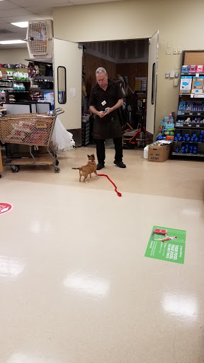 Pet Supply Store «Petco Animal Supplies», reviews and photos, 901 W Indiantown Rd #30, Jupiter, FL 33458, USA