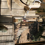 Photo n° 3 de l'avis de Romain.a fait le 30/03/2019 à 11:10 pour Cabanes de Labrousse à Belsentes